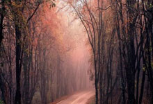 凯发娱乐：图赫尔：拉什福德在维拉的表现令我印象深刻，我征召他是想激励他.