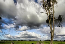 德甲第27輪 弗萊堡0-1拜仁慕尼黑 德裏赫特遠射破門！拜仁成功復仇弗萊堡！.