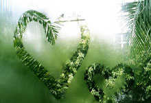 德甲第27輪 弗萊堡0-1拜仁慕尼黑 德裏赫特遠射破門！拜仁成功復仇弗萊堡！.